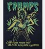 Футболка The Cramps, Футболка группы The Cramps черная унисекс S-4XL