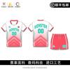 Custom Printed Volleyball Uniform Set Men Women Adult Training Competition Sportswear Breathable Quick Dry