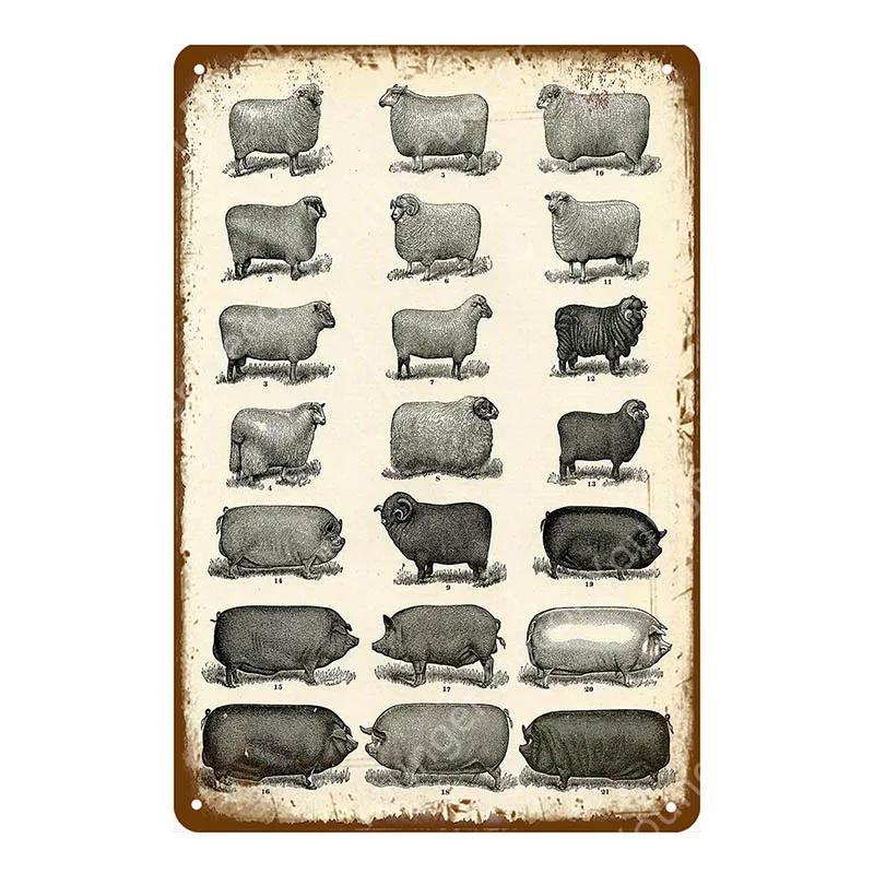 Family Butchers Tin Signs Beef Cuts Duck Eggs Wool Vintage Metal Plaque Farmhouse Farm Shop Wall Decor Cow Pig Poster YI-120