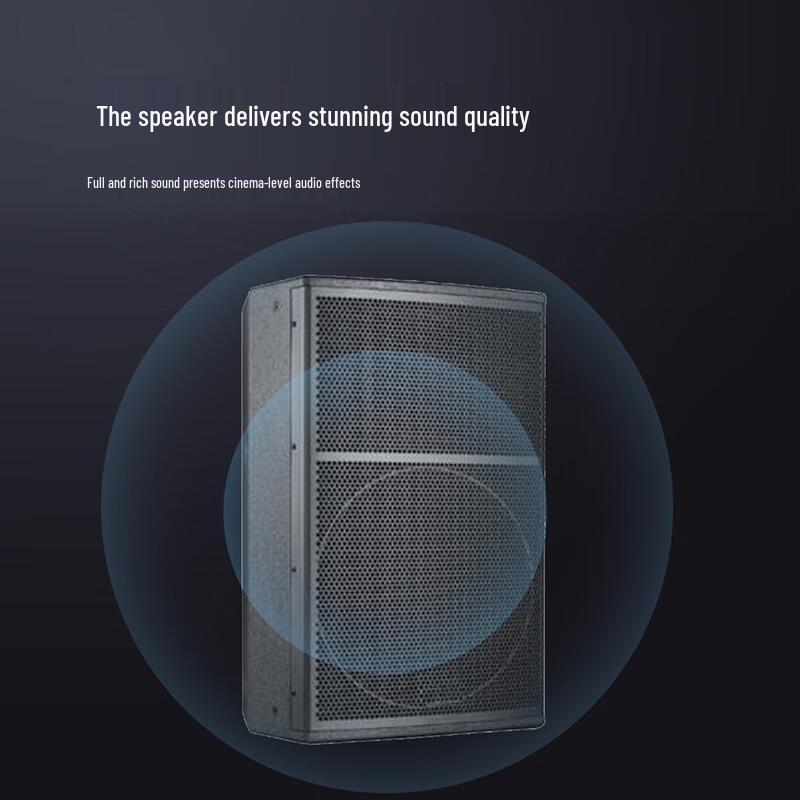 Runpu RP-KO15 15-inch Full-Range Conference Room Speakers (CN version)