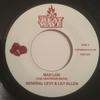 7-дюймовая пластинка GENERAL LEVY  LILY ALLEN  PAPA SA  LDN Rights  Mad LDN HW7001 The Heatwave 2007 UK Reggae Ska  Dub Б/у