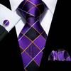 2021 Men Ties 10 Styles Silk Necktie Hanky Cufflinks Plaid Striped Ties Set for Business Wedding