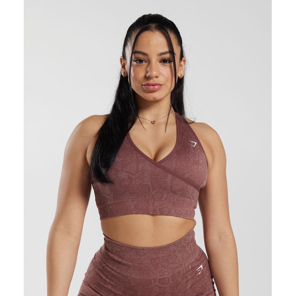 Gymshark Адаптировать Животное бесшовный спортивный бюстгальтер Современный румянец розовый пурпурный коричневый B6a4q Kbnb