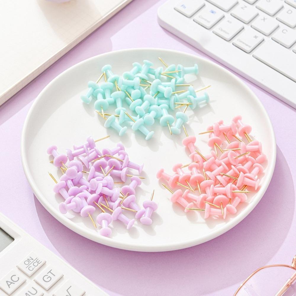 Macaron Студенческий офисный набор для ноутбука 3-контактный 1-контактный набор