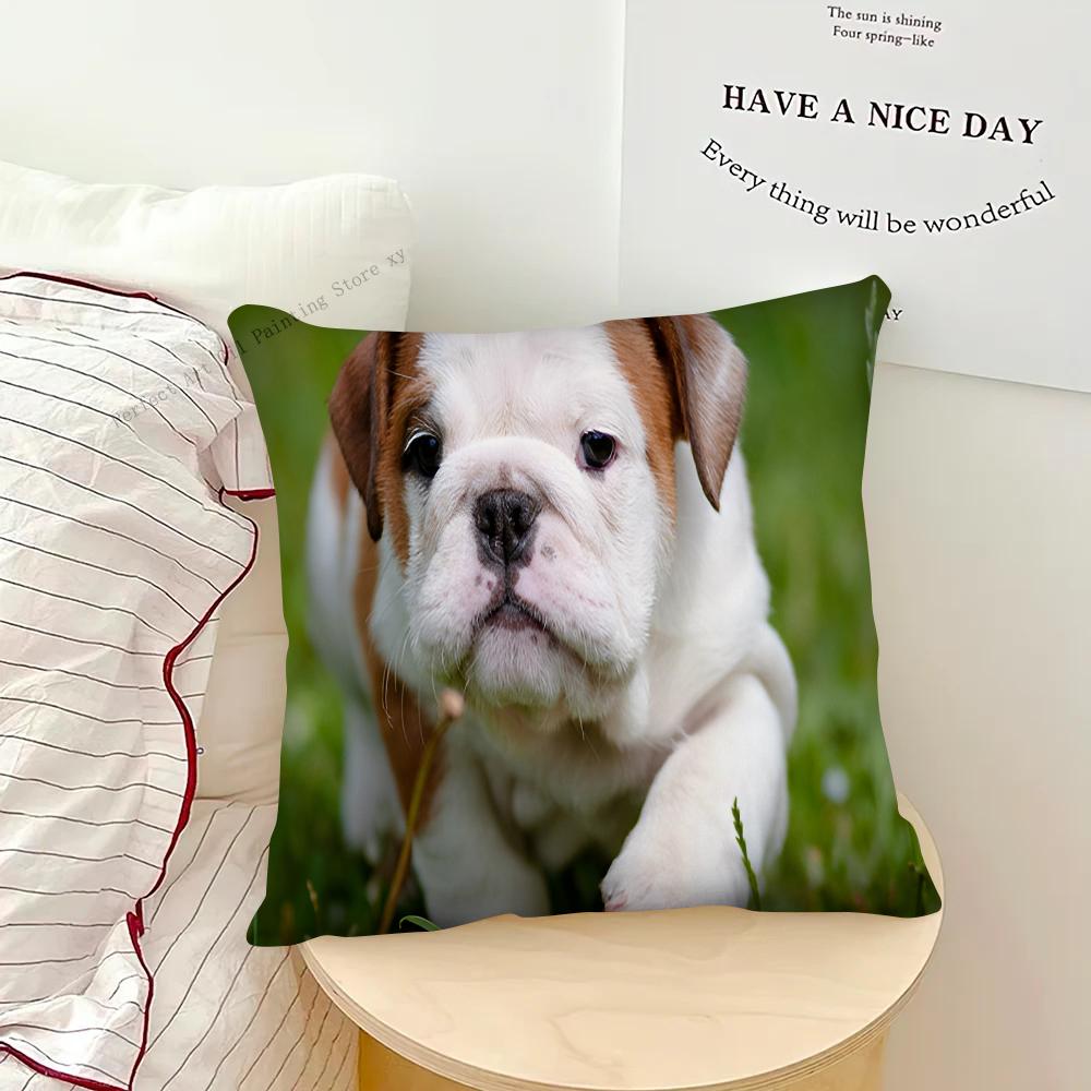 Чехол для подушки для ванны с бульдогом, квадратная подушка, спальня, диван, подушка для отдыха и комфорта, автомобиль, гостиная, домашний декор
