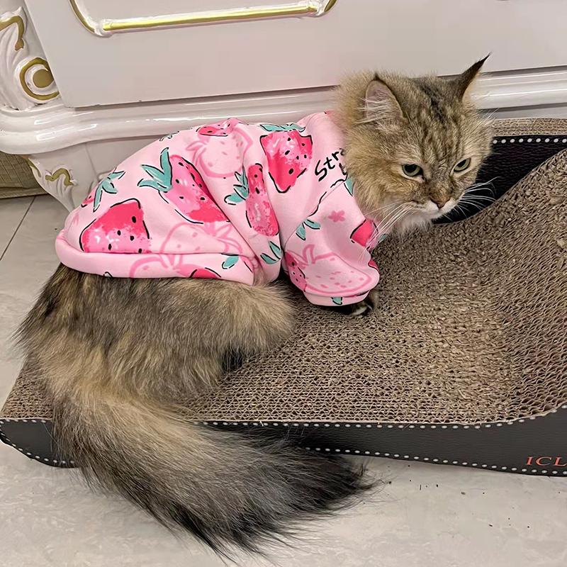 Adorable Printed Sphynx Cat Costume Clothes Winter Warm Pet Hoodie Sweater designed for Cats Gentle Fleece Puppy Kedi mascotas gotas Clothing