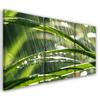 Картина из трех частей, печать на холсте Зеленые листья