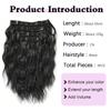 XINRAN Synthetic 4PCS  Invisible Lace Clip In Hair Extensions Short Wavy Natural Thick Hairpieces For Women Daily Wear