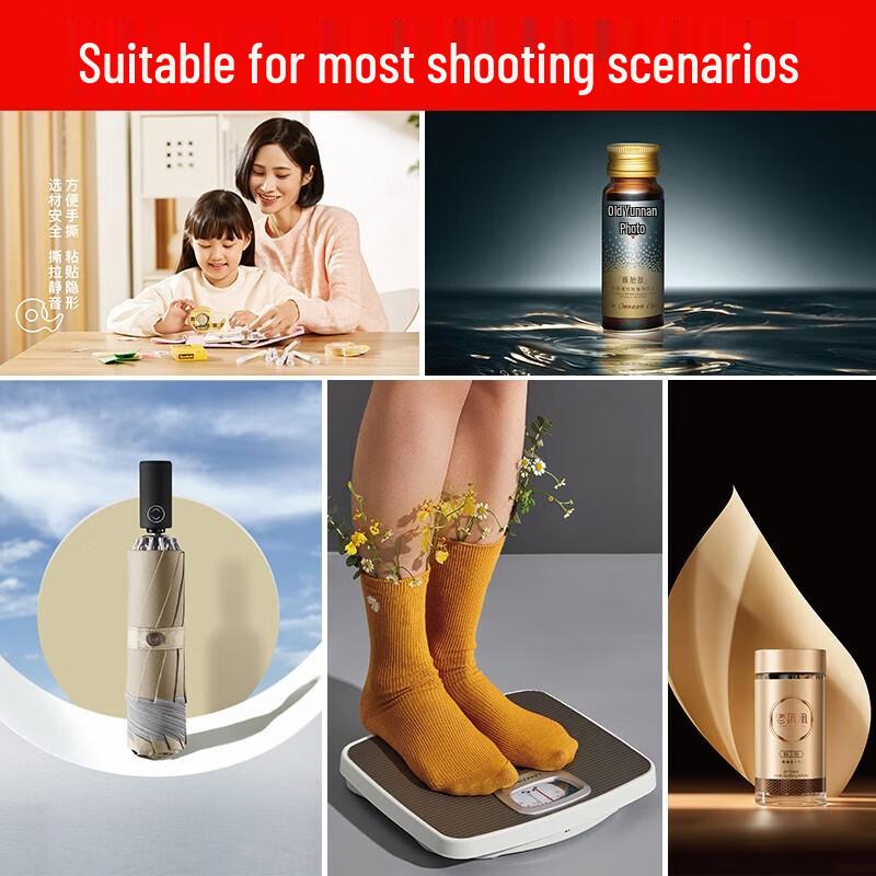 Godox DP800IIIV Studio Flash Kit with LED Modeling Light