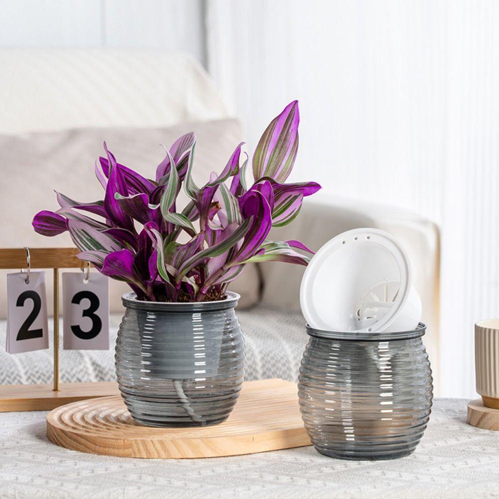 Automatic Water-Absorbing Self-Watering Plant Pots Transparent Lazy Plant Pots Desktop Flower Pot