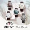 Автоматические часы Orient Bambino 38 Серые Мужские Ограниченная серия RN-BB0006N