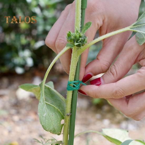 Garden Plant Ties Flexible Wire Design Weather-Resistant Vegetable Tomato Twist Ties Climbing Plants Support Ties