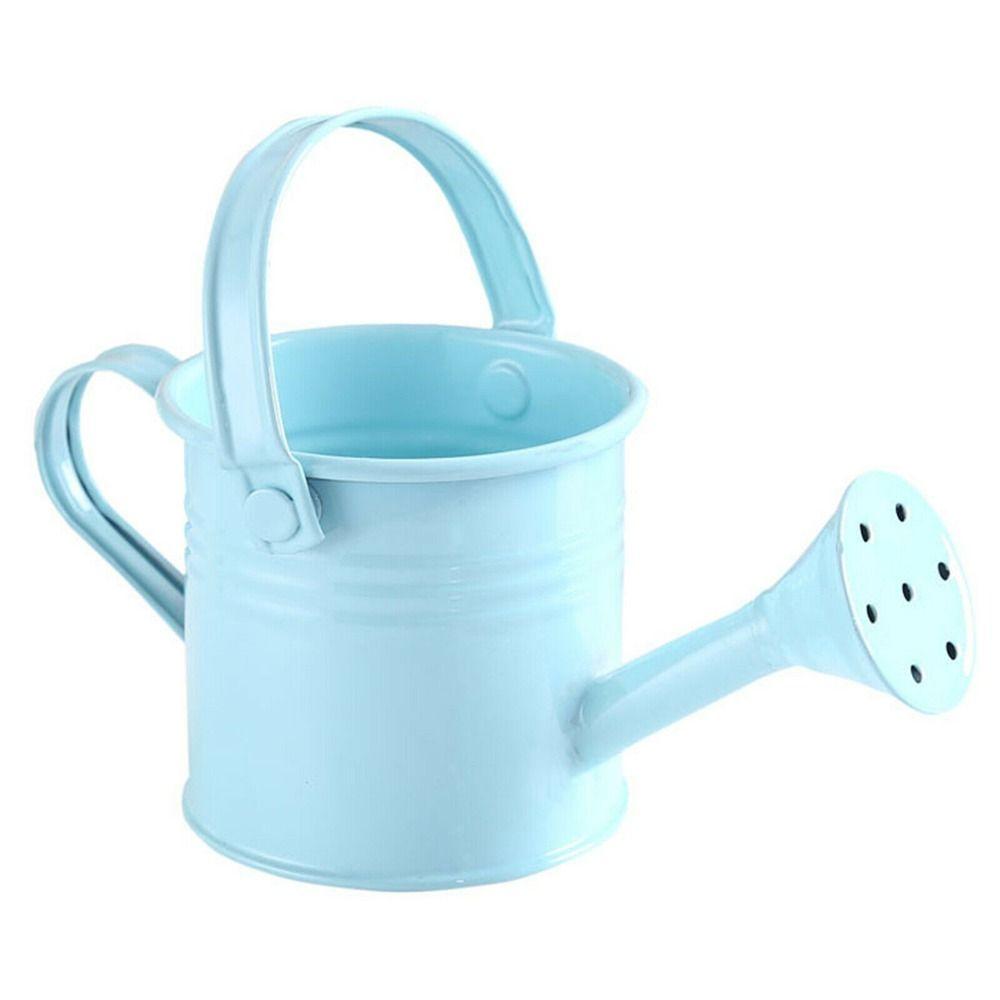 Large Capacity Mini Metal Watering Can Thickened Sprinkler Durable Water Spraying Pot  Gardening