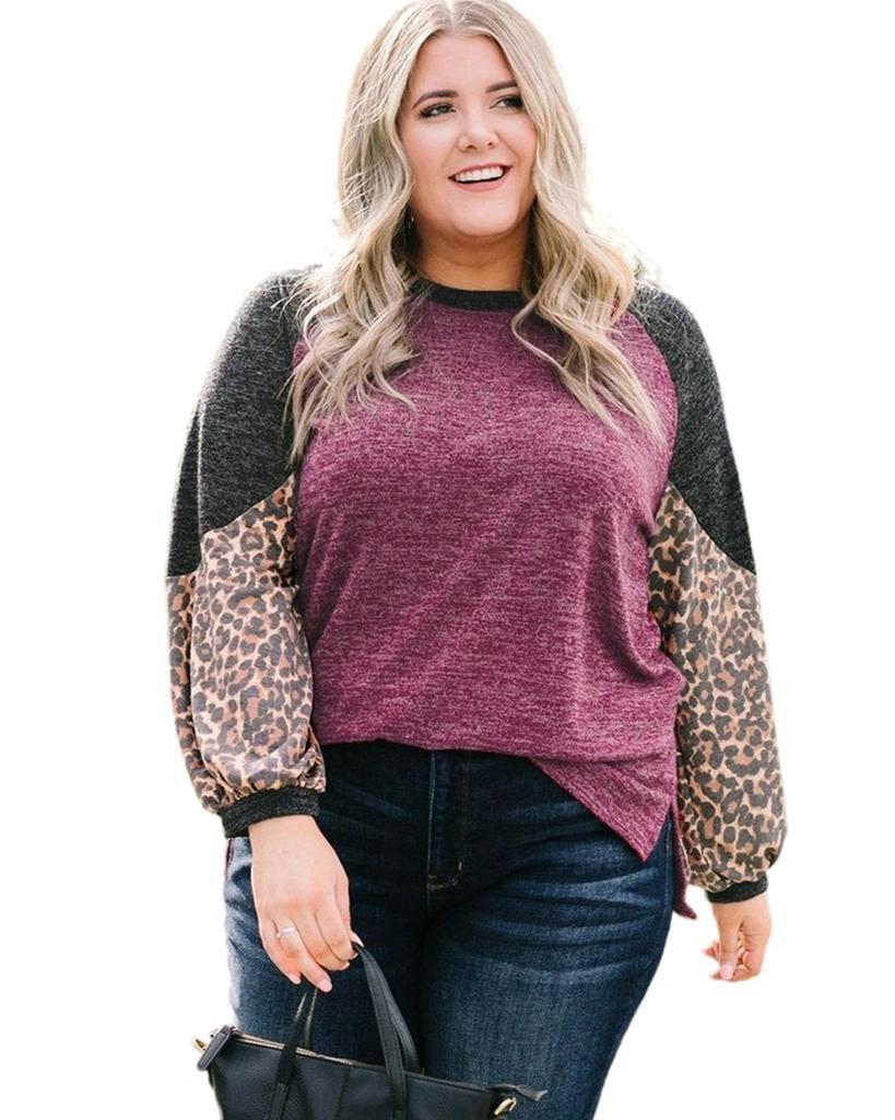 Azura Exchange Leopard Colorblock Long Sleeve Plus Size Top