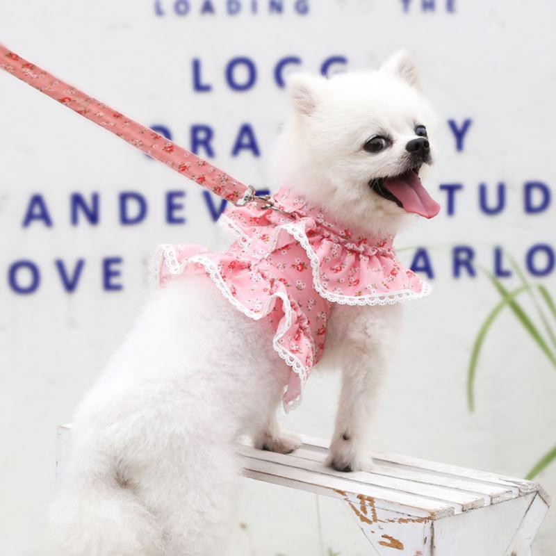 Одежда с нагрудным ремнем для домашних животных, комплект из тяговой веревки, удобный дышащий, милый, милый, с цветочным кружевом на спине