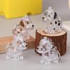 Dog Hair Collection Pendant Hair Storage Box Bag Charm Pet Pendant Transparent Hair Storage Capsule Dog Souvenirs Gift