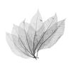 50x Magnolia Skeleton Leaf Card Making Scrapbook Embellishment Black