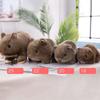Hamster Animal Plush Fuzzy Animal Plush Pillow Pet Peluche Hamster Plush Doll Stuffed Toys Hamster Plush Toys Plush Animal Toy