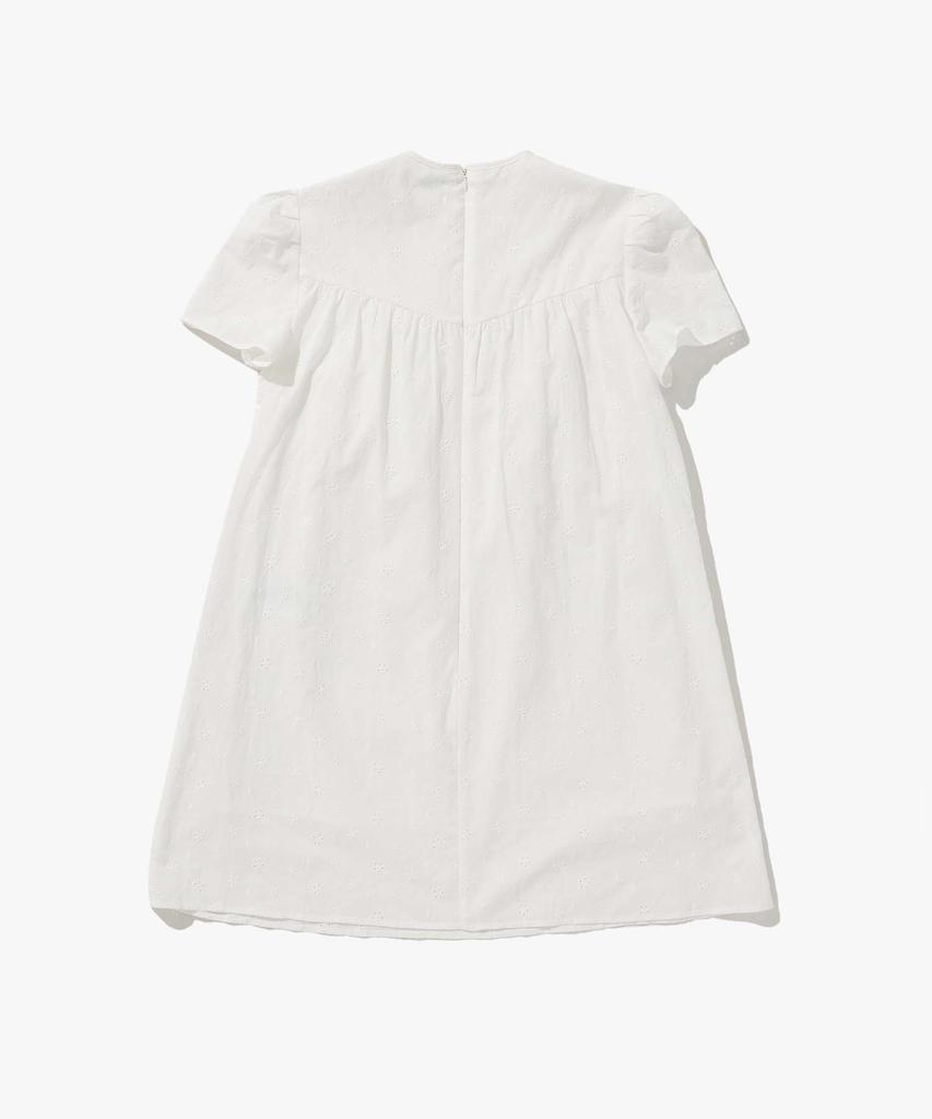 Plack Woman Embroidered Mini Short Sleeve Dress