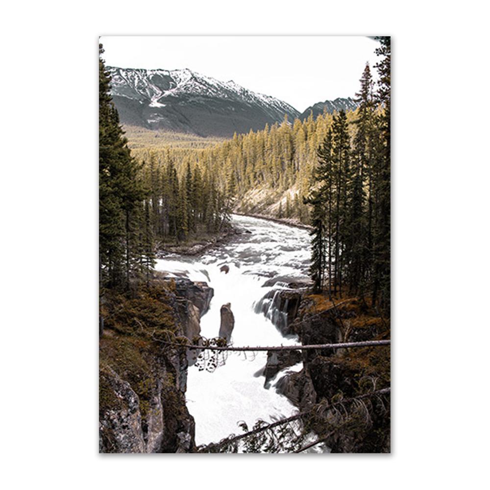 Лесной пейзаж, принты плакатов, природный пейзаж, солнечный свет, луга, холст, картина, настенная живопись, картина для домашнего декора, живопись