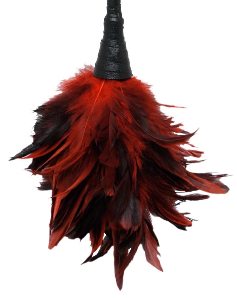 Fetish Fantasy Series - Red Tickling Feather