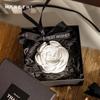 Camellia Scented Plaster Aroma Diffuser Sheets for Wardrobe, Bedroom, Car - Long-Lasting Fragrance