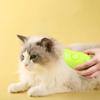 Cat Steam Brush Steamy Dog Brush 3 In 1 Electric Spray Cat Hair Brushes for Massage Pet Grooming Comb Hair Removal Combs