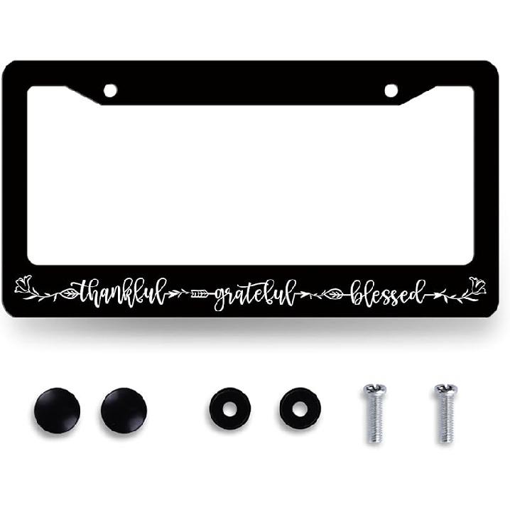 Рамка для номерного знака с колибри, цвет вишневого цвета, с цветами, держатель для номерного знака, цветная рамка для номерного знака для украшения автомобиля, птица из нержавеющей стали, для автомобиля