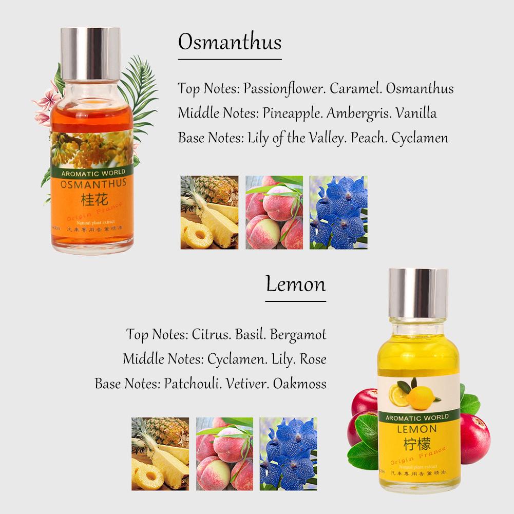 10ml Air Freshener Auto Car Outlet Perfume Replenishment Aromatherapy Oil Natural Plant Essential Automobiles Vents