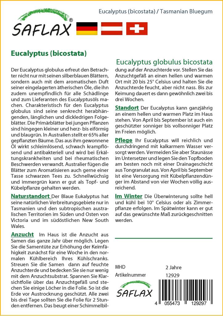 SAFLAX Тасманская голубая резинка - 100 семян - Eucalyptus globulus