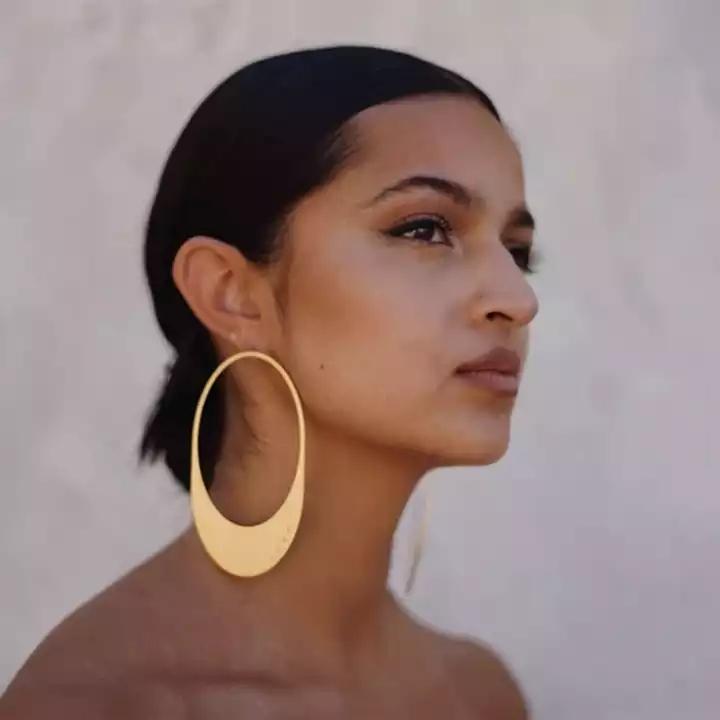 2022 Fashion Jewelry Personalized Exaggerated Hoop Earring Oversized Custom Statement Design Oval Memory Geometric Drop Earring