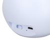 LED Desk Lamp USB Charging Eye   Flexible Color Night Light with Cute Chicken Base