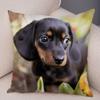 Mini Dachshund Cushion Cover Decor Pet Animal Pillowcase Sofa Home Children's Room Pillowcase