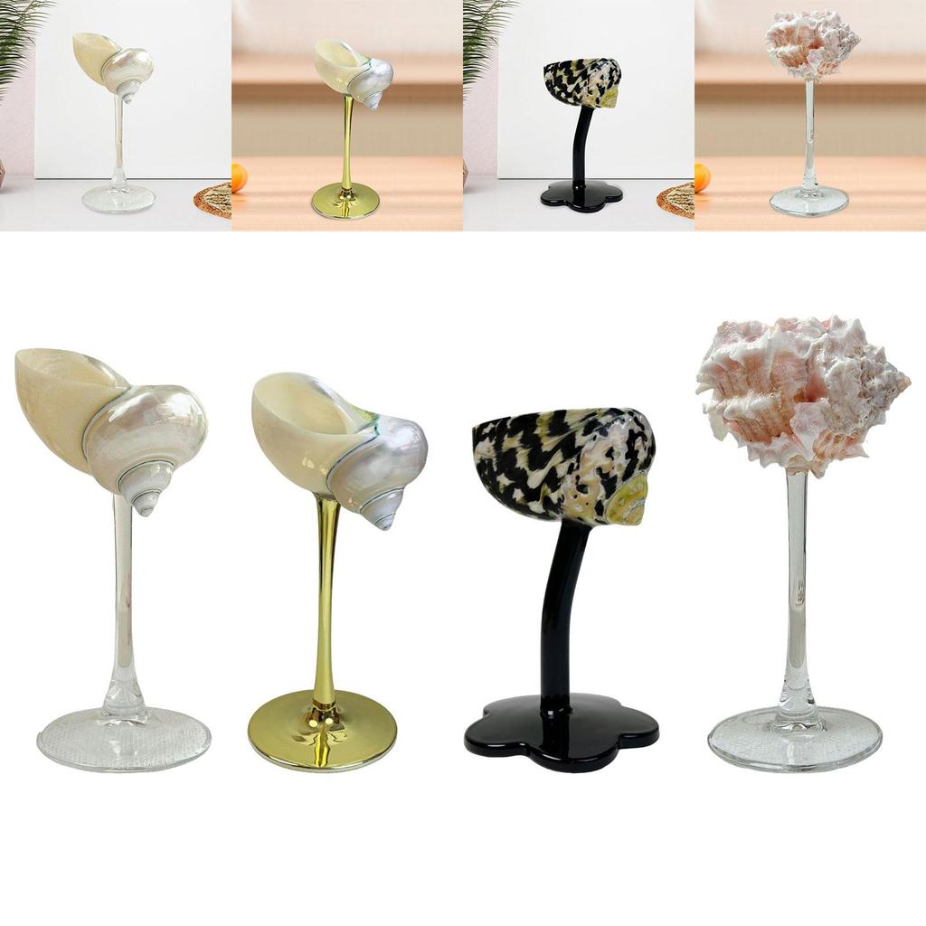 Conch Shell Champagne Glass Cup Home Decor Champagne Cup Goblet for Women Men Ad