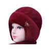 Вязаная шапка Влагоотводящая Дышащая Теплая Флисовая подкладка Двухслойная Шапка для холодной погоды Универсальная Зимняя шапка
