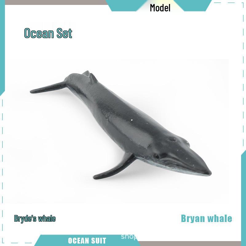 Children's Marine Animal Model Set: Mini Whale, Shark, Dolphin, Turtle, Sea Lion