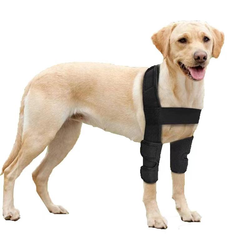 Stock Adjustable Dog Knee Protector Pet Surgical Injury Protective Cover Gym Compression Wrap Recovery Dog Knee Brace