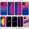 Bisexual Flag Art Phone Case For iPhone 11 12 Mini 13 14 15 Pro XS Max X Plus SE XR Shell