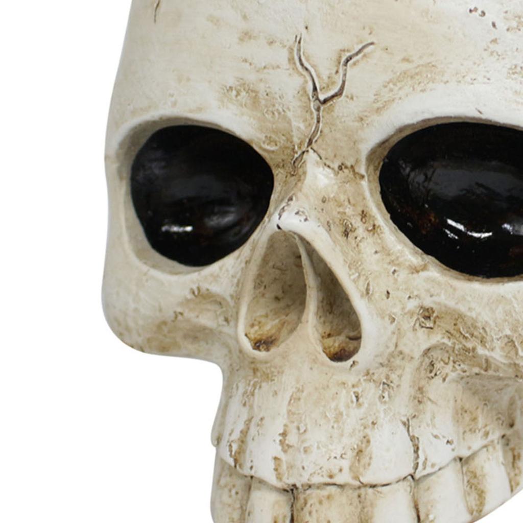 Смола Череп Формы Цветочный Горшок Готический Суккулентный Кашпо Держатель Орнамент для Дома Офиса Декора