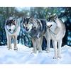 Diamond Painting Cross Stitch Animal Diamond Embroidery Wolf Needlework Diamond Mosaic