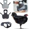 Creative Chicken Saddle For Hens, Funny Tightness Hen , Feather Fixer For Poultry Back Protector