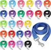 24-Color Puppy Leash: Long Line for Small To Medium Dogs - Ideal for Training, Play, and Camping.
