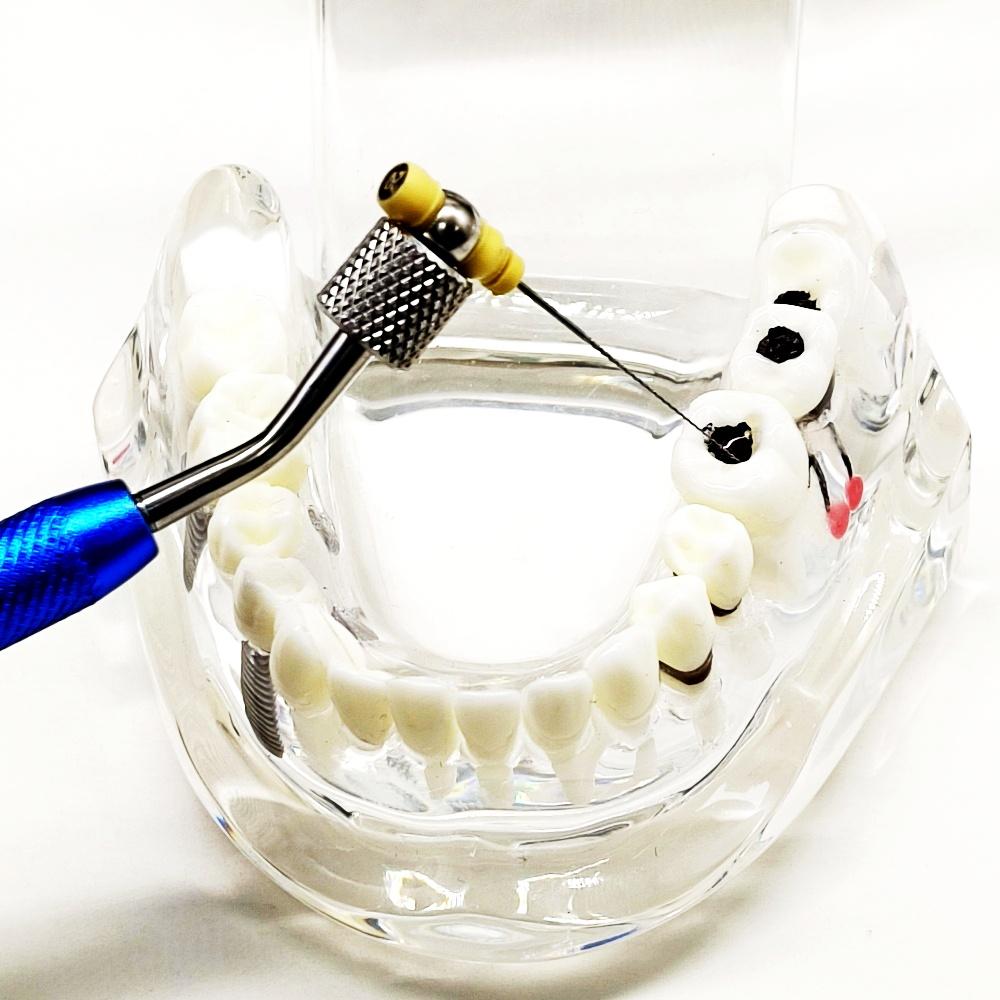 Держатель стоматологических эндодонтических файлов, захват для ручных файлов, машина для файлов корневых каналов, вращающийся держатель файлов с эндо-линейкой