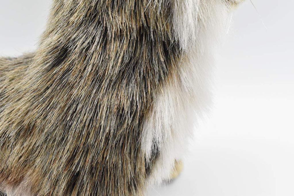 BH4248 HANSA Raccoon 25