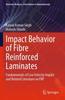 Книга Impact Behavior of Fibre Reinforced Laminates : Fundamentals of Low Velocity Impact and Related Literature On FRP