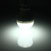 LED Outdoor Portable Clip 12V Bulbs Camping Lamp Hunting Lantern Clip Light