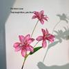Pink Series Bubble Rose Artificial Flower Arrangement for Women's Day or Wedding Decor