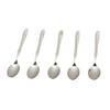 Made In Japan TAKAGI 18-10 Stainless Steel Teaspoons, Set of 5