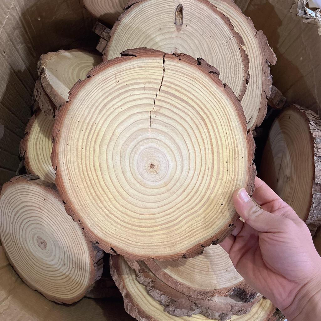 Деревянные срезы для поделок и декора детского сада, расписанные вручную – Маленькие кусочки натурального дерева с годичными кольцами