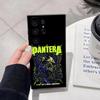 Чехол для телефона Pantera Ritual Metal Band для Samsung S26 Ultra S25 Edge Ultra S23 S22 S21 S20 Ultra Plus S24 Fe